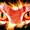 Fuego фотография